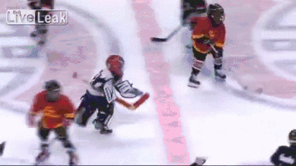 16 GIFs Of Hockey Bloops That Are A Total 