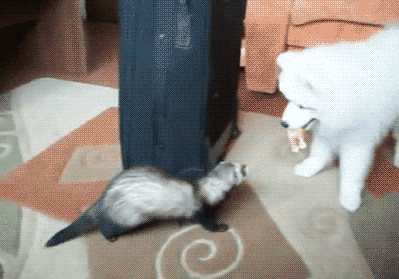 17 Awesome Animated GIFs (6.4.14 | Pleated-Jeans.com