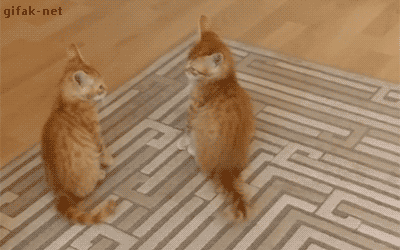 21 Best GIFs Of All Time Of The Week #107 from best GOAT and Best of the Web