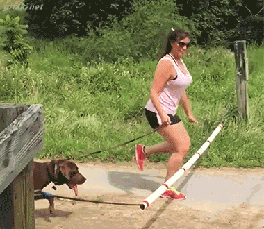 21 Best GIFs Of All Time Of The Week #107