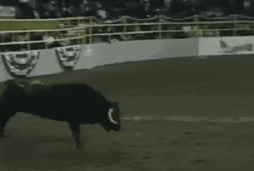 21 Best GIFs Of All Time Of The Week #110 from best GOAT and Best of the Web