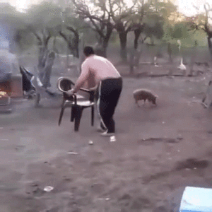 21 Best GIFs Of All Time Of The Week #132