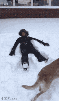 21 Best GIFs Of All Time Of The Week #174 from best GOAT and Best of the Web