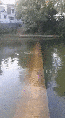 21 Best GIFs Of All Time Of The Week #175