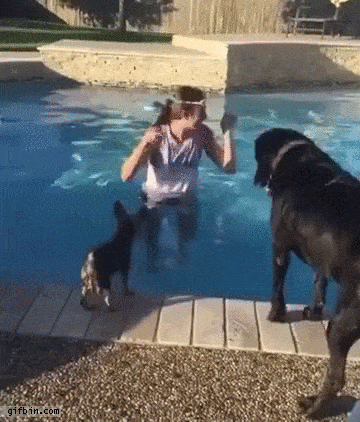 21 Best GIFs Of All Time Of The Week #198