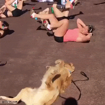 21 Best GIFs Of All Time Of The Week #200
