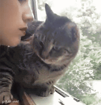 21 Best GIFs Of All Time Of The Week from best GOAT and B...