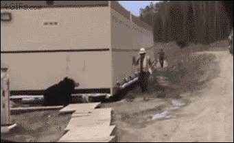 4gifs: “ Scaring coworkers with a bear costume. [video] ”