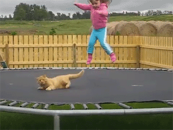 “RELEASE ME, TINY HUMAN.” | 22 Angry Cats Who Would Like You To Please Stop