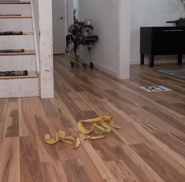 ••haha! Totally stable incredibly balanced kick-worthy Boston Dynamics bot Falls! from just Banana peels!•• 