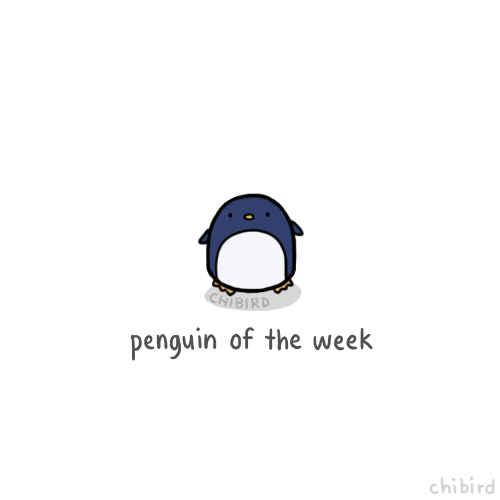 A penguin of the week with a little gift for you each day~ Start off the week with some penguin positivity! :D