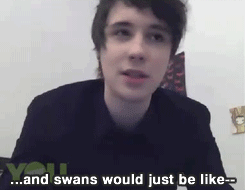 And swans would just be like... /// Dan Howell YouNow