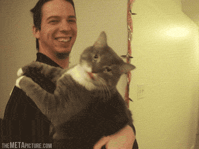 and this is why you never trust a cat person