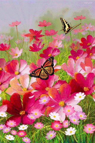 Animated wallpapers - Field of flowers and butterflies
