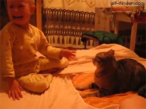 Baby swats cat. Cat fights back