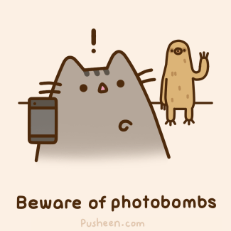 beware of photobombs // pusheen