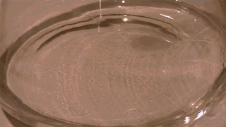 Blood And Hydrogen Dioxide -- 20 Chemical Reaction GIFs