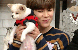 bts taehyung my pet clinic gif - Google Search