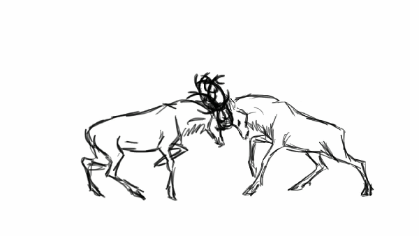 Bull Elks fighting by Aliveful