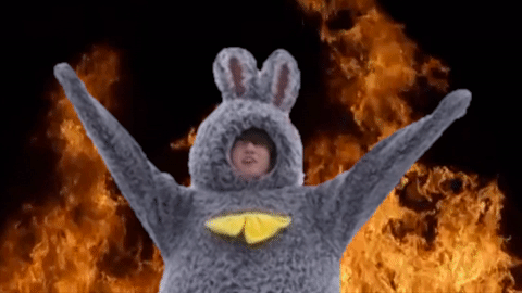 BUNNIES ALL OVER THE WORLD. It is time for us to unite!! We alone must RISE UP to defend our kind and hop beside our most beautiful golden leader JEON Jungkook!!