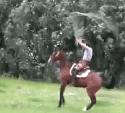 *Chill, no horses or humans were harmed in the making of these gifs. Awesome Videos While we have your attention, we thought you might like watching these videos. Consider it an extra bonus just for being you. No, You Can't Ride My Horse It's always a delicate matter but the answer is usually the same.  Continued