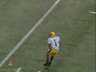 DeSean Jackson accidentally downs ball at first yard line. Did it again years later.