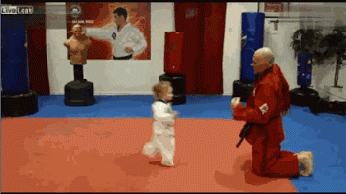 DIVERT YOUR ATTENTION TO THIS BLACK BELT: | 19 GIFs That Will Help Us Achieve World Peace