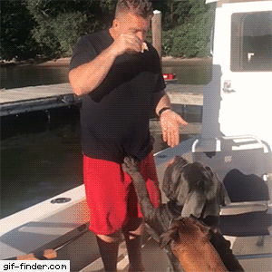 Dog Accidentally Pushes Owner off Boat