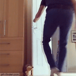 Dog is Adorably Bad at Hide and Seek | Gif Finder – Find and Share funny…