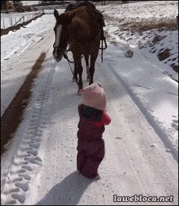 Extra Funny Picture   Full Video Here : http://ift.tt/15UuE5k  fun fun gif funny picture humor joke