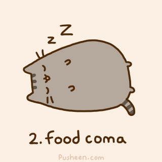 food coma cat!