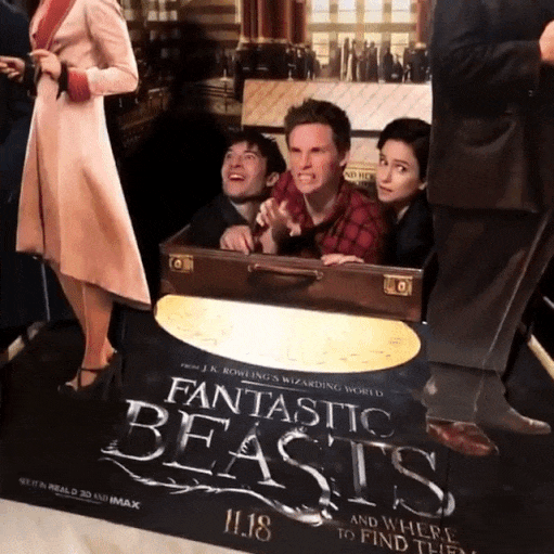 Fun time in IMAX with Ezra, Eddie and Katherine during the Fantastic Beasts promo last November gif