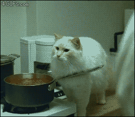 Funniest gifs, hilarious gifs ...For more funny gifs visit www.bestfunnyjokes4u.com/