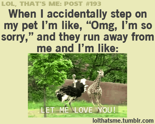 Funny and Relatable!h my gosh I do that to my cat and I'm like I'm sooooo sorry COME HERE!!