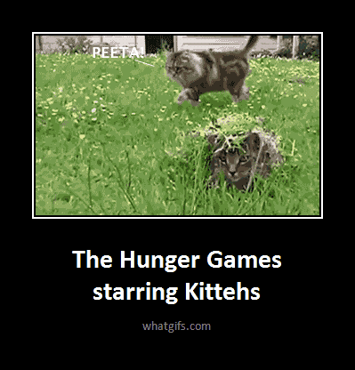 Funny Hunger Games | The Hunger Games « Best Funny Animated Gifs Updated Every Day ...