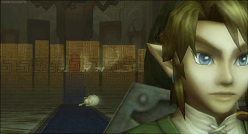 ( GIF and here we have the Hero of Sass! ( tp link's official title (it is now cannon