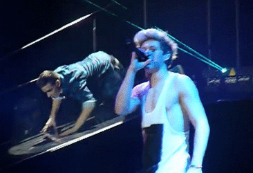 [gif] ...and this is what goes on at one direction concerts and yes I would still pay that much to see it.
