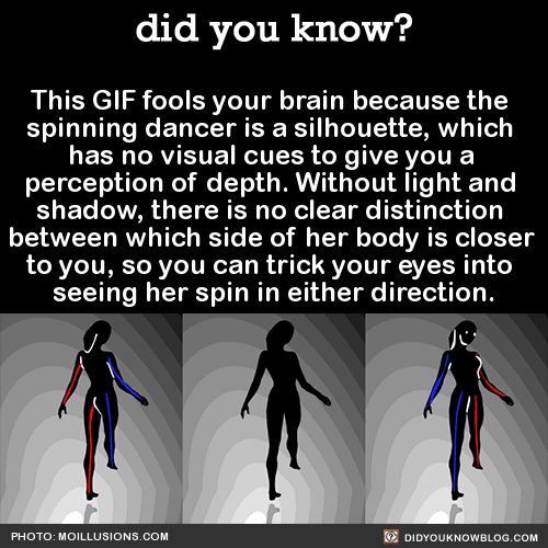 GIF Illusion - GIF on Imgur