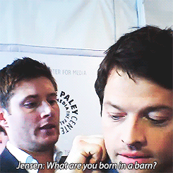 [gif-set] Jensen fixing Misha's collar. Jensen as the responsible older brother to Jared and Misha gives me so much joy.