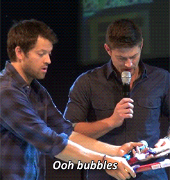 [GIF] the more i watch this gif the cuter it gets.  Misha & Jensen convention panel #JIB2013