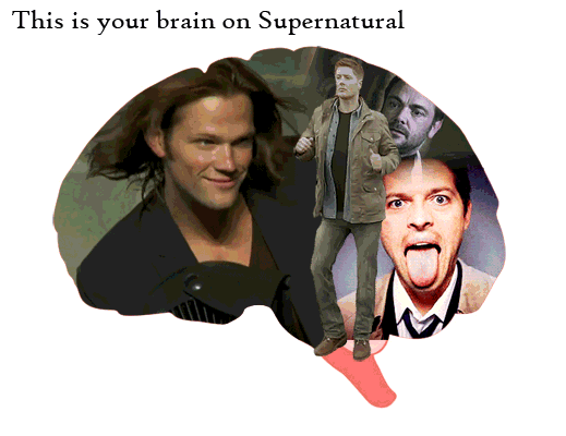 [GIF] Your brain on SPN || this is ridiculously accurate...