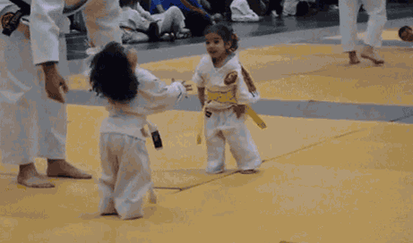 giflounge: “Cutest fight ever…”