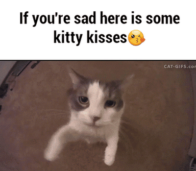 Grace French - Google+-- my goodness these kitty kisses are adorable.