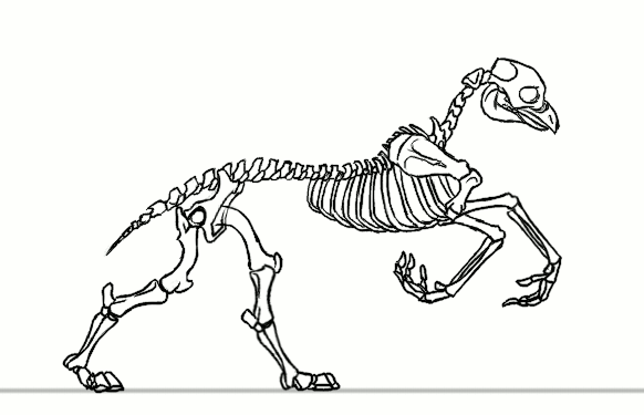 Hippogryph Skeleton run by DarkmaneTheWerewolf