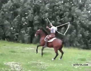 Horse jump rope