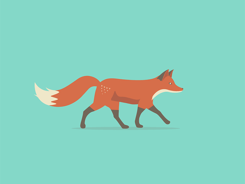 I animated one of @Andy Hau 's wonderful illustrations: Quinn the Fox!   Be sure to check out his work!   andyhau.com  dribbble.com/AndyHau