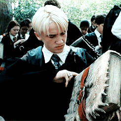 I got: 75% Draco. Oooh. That's pretty certain.! Maximum Pop! - What % Draco Malfoy are you?
