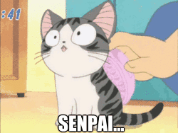 I Hope Senpai Will Notice Me | Know Your Meme