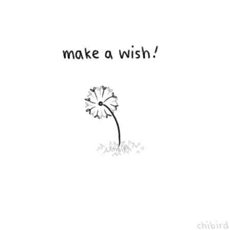 I hope your wish come true this weekend. #Breathe #Right #With   #your   #Soul…