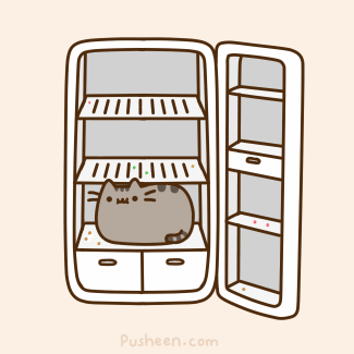 I once put my aunt's cat in the fridge to hide it from the washer repair man...  True story!